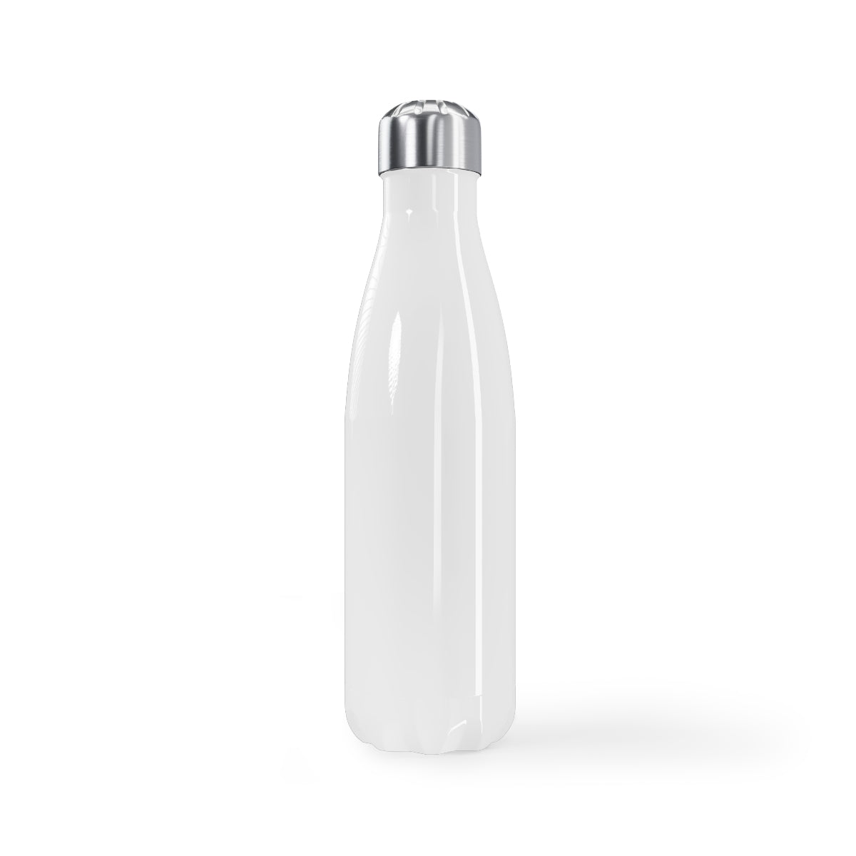 "Embrace the Fun!" Stainless Steel Water Bottle, 17oz